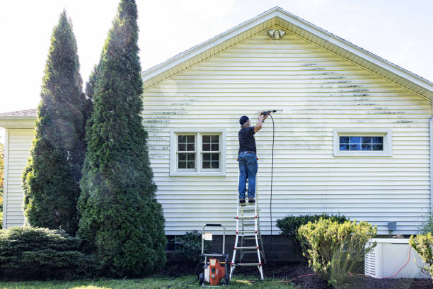 Best Driveway Pressure Washing  in Osgood, IN